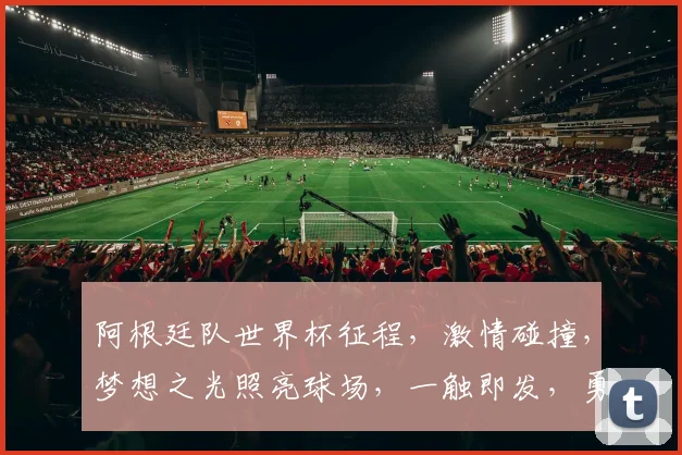 阿根廷队世界杯征程，激情碰撞，梦想之光照亮球场，一触即发，勇夺荣耀