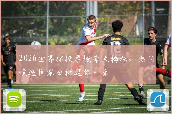 2026世界杯投票概率大揭秘，热门候选国家分析逗你一乐