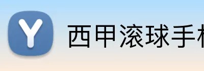 西甲滚球手机投注 logo